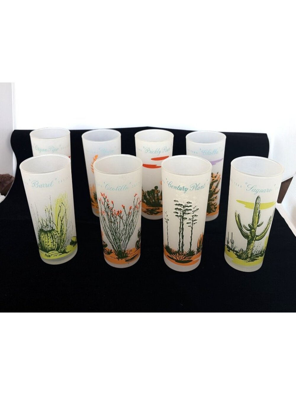 Complete Set of 8 Vintage Blakely Oil Gas Arizona Cactus Frosted Glasses Hocking
